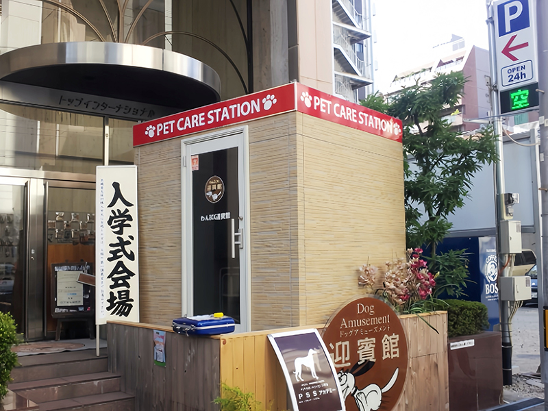 案例展示